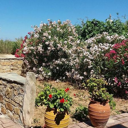 Villa Danai Agia Anna  Bagian luar foto
